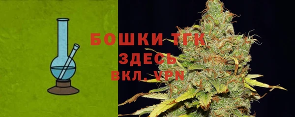 прущие грибы Пересвет