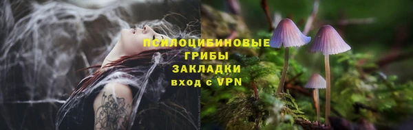 хмурый Алексеевка