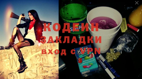 прущие грибы Пересвет