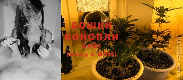 тгк Пестово