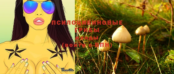 твердый Алзамай