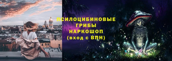 твердый Алзамай