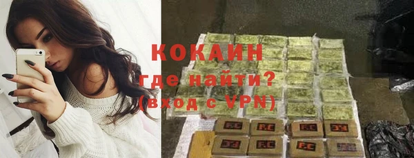 тгк Пестово